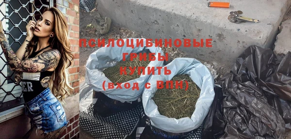 дмт Аркадак