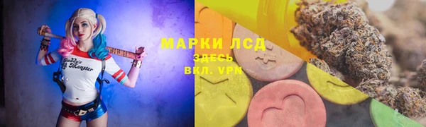ПСИЛОЦИБИНОВЫЕ ГРИБЫ Арсеньев