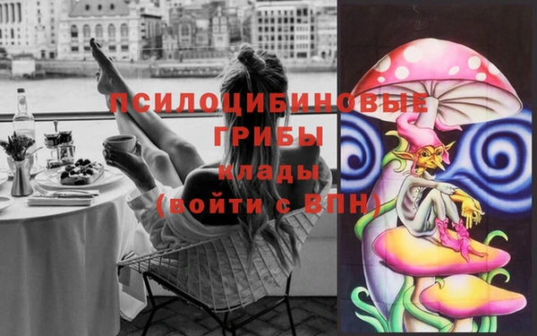 бошки Армянск