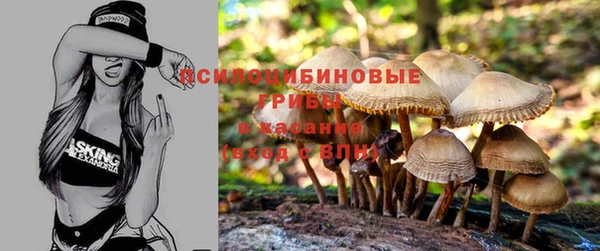 дмт Аркадак