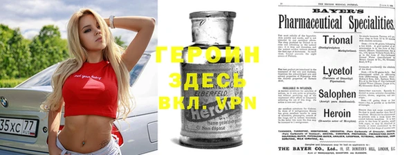 ПСИЛОЦИБИНОВЫЕ ГРИБЫ Арсеньев