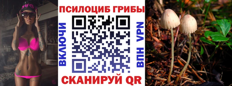 Галлюциногенные грибы Magic Shrooms  МЕГА зеркало  даркнет телеграм  Хотьково 